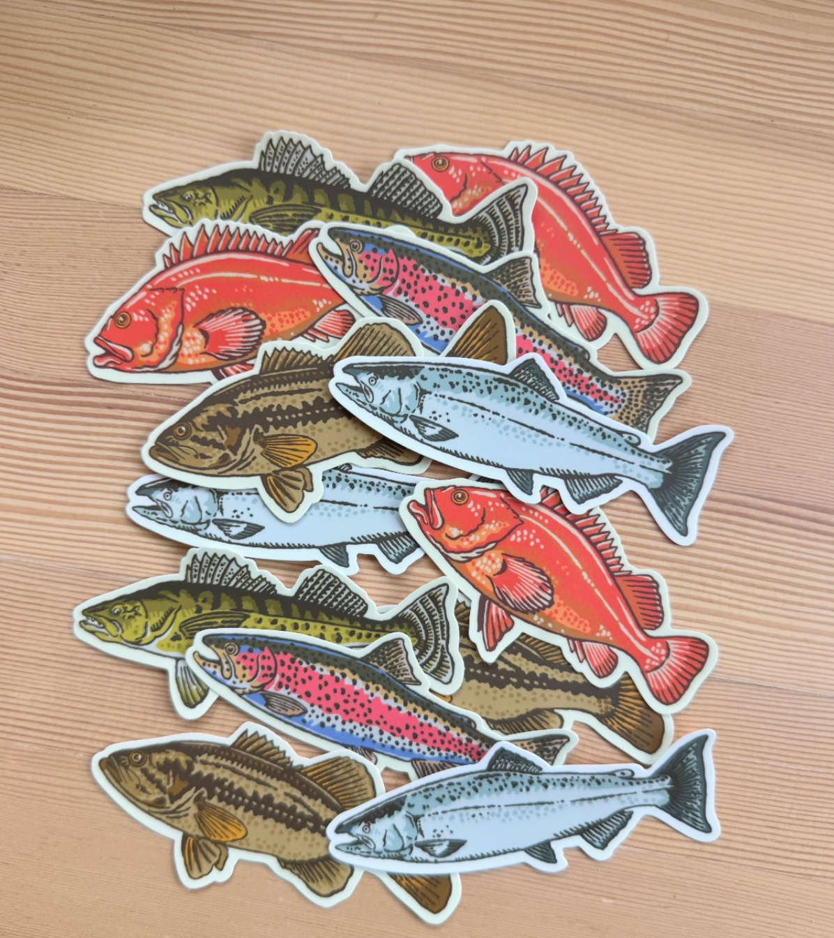 Retro Chinook Salmon