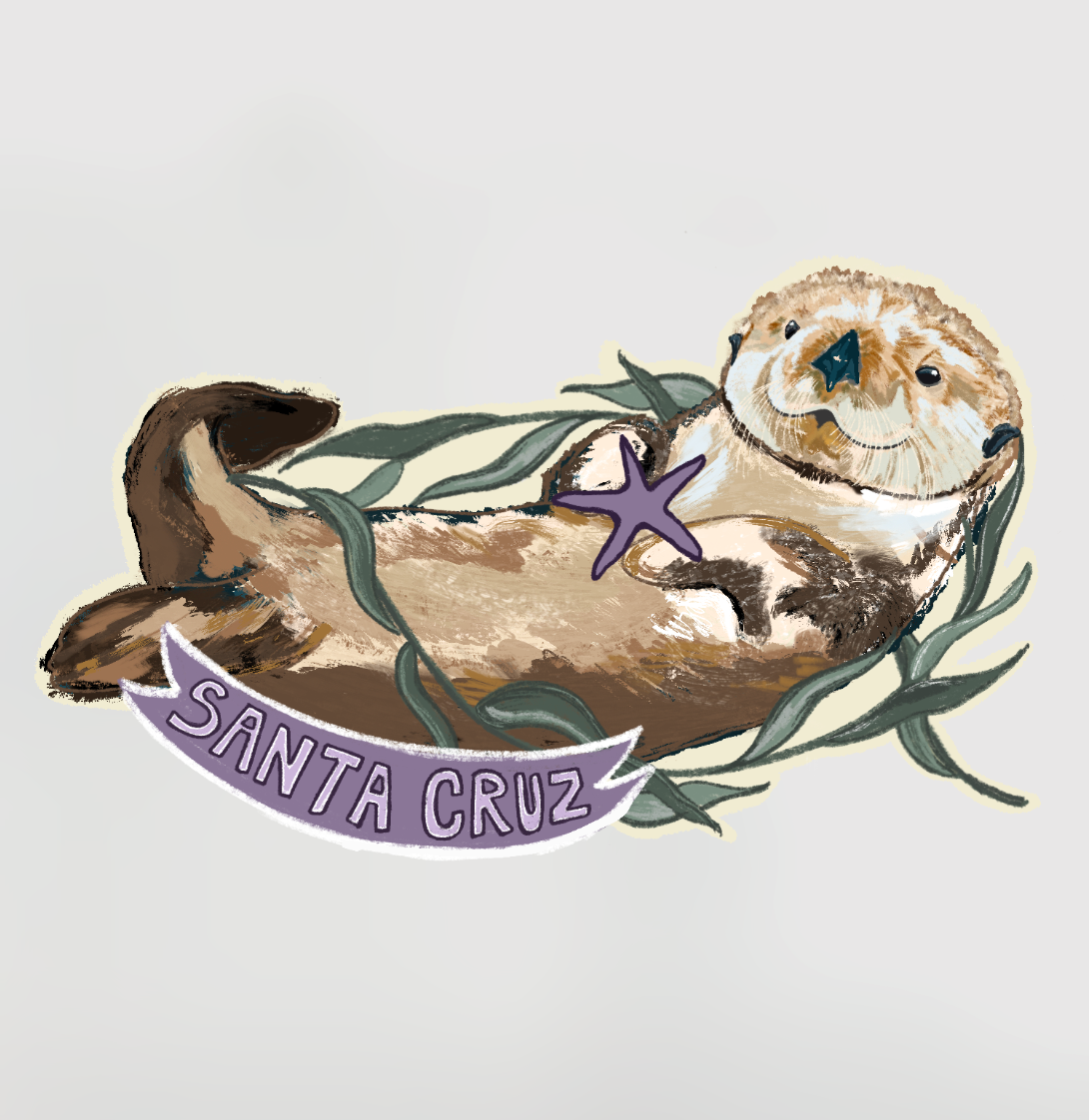 Santa Cruz Sea Otter