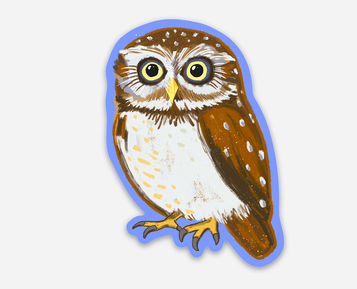 Whimsical Owl