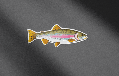 Rainbow Trout