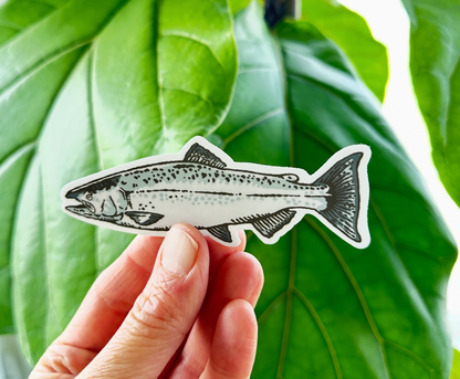 Retro Chinook Salmon
