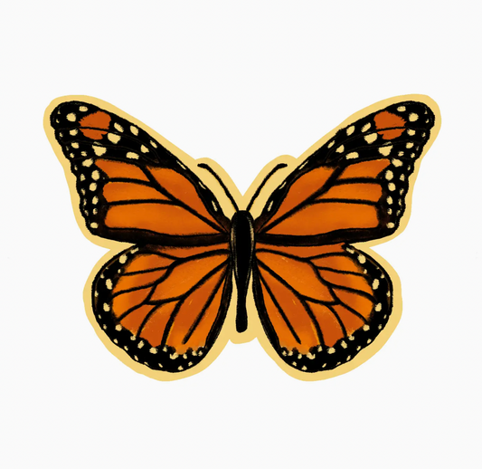 Monarch Butterfly