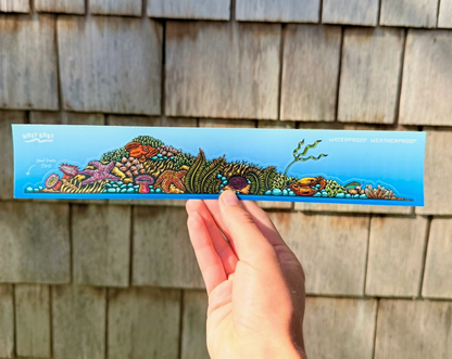 Tidepool Landscape Sticker (11” x 2”)