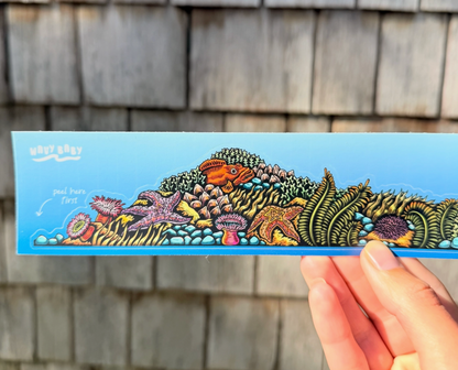 Tidepool Landscape Sticker (11” x 2”)