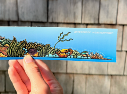 Tidepool Landscape Sticker (11” x 2”)