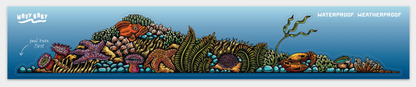 Tidepool Landscape Sticker (11” x 2”)