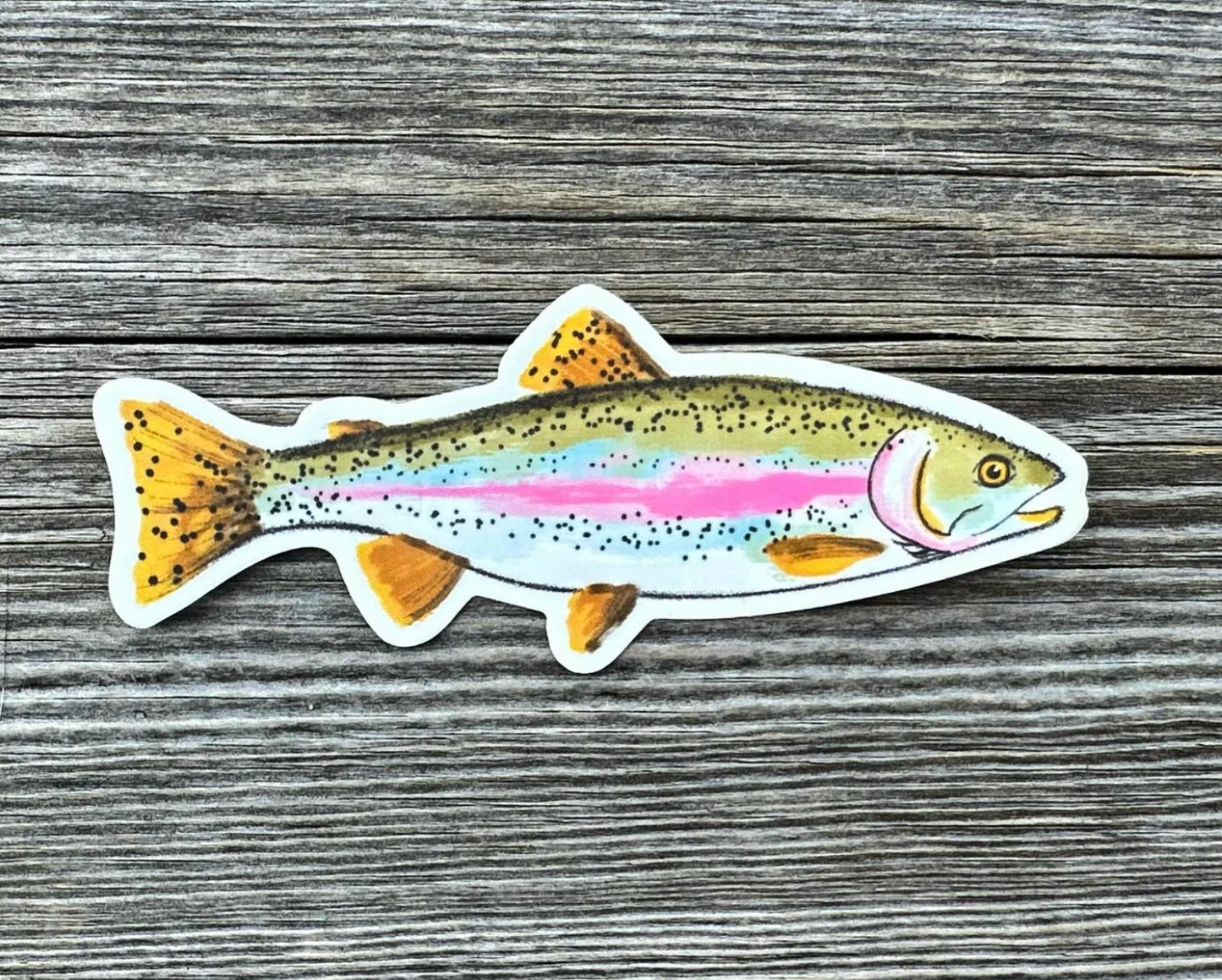 Rainbow Trout