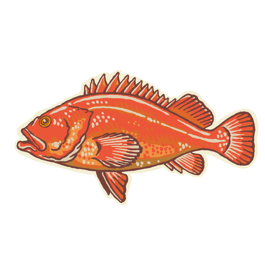 Retro Orange Rockfish