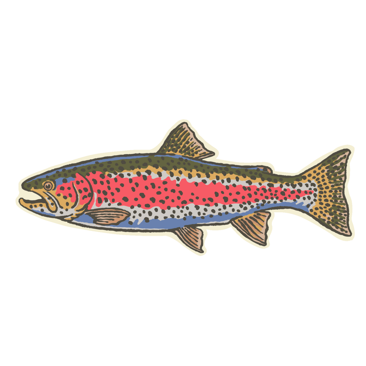 Retro Rainbow Trout