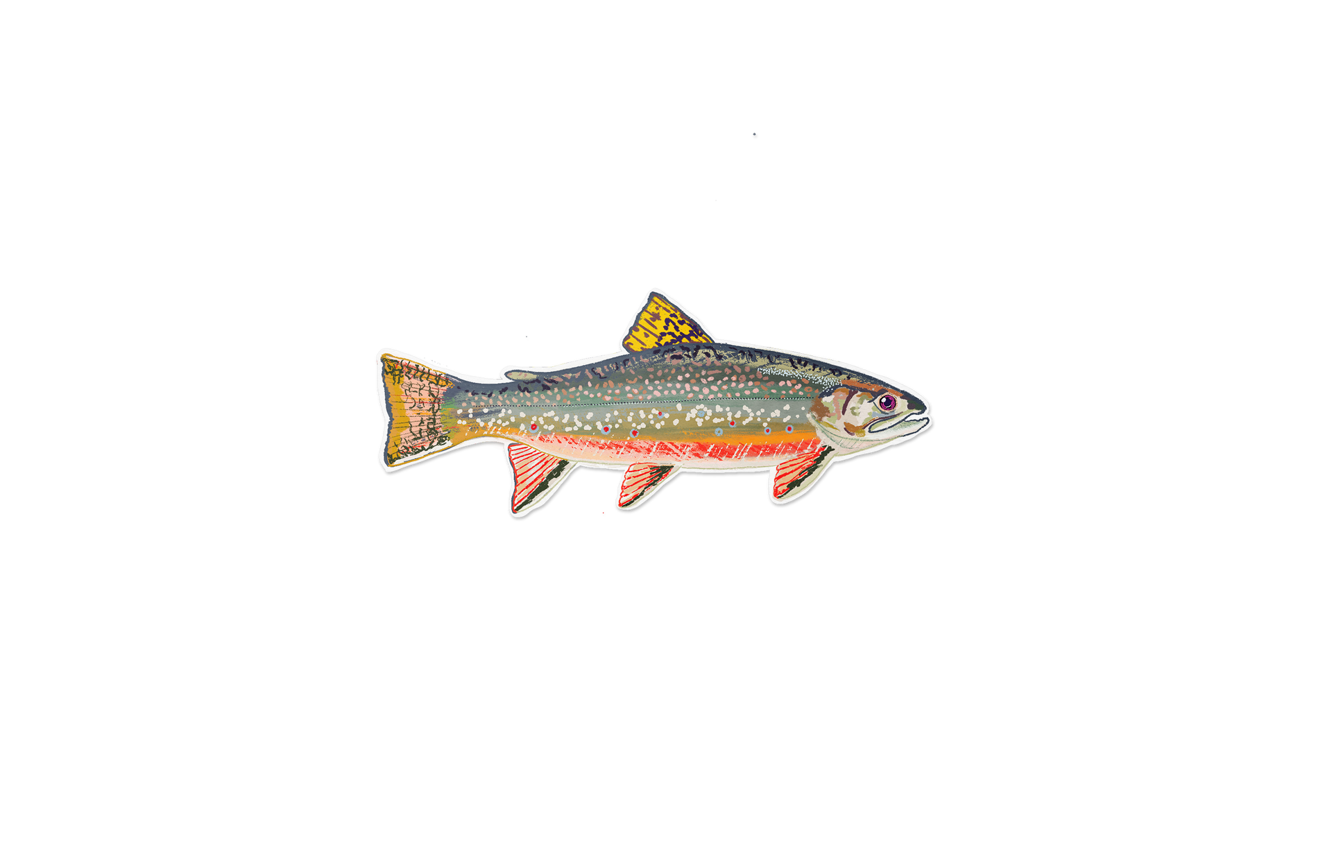 Brook Trout – Wavy Baby Design