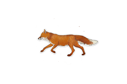 Fast Fox